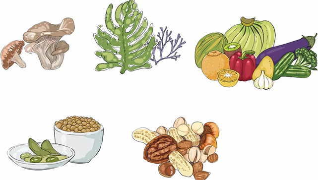 專家談|心血管疾病營養(yǎng)康復(fù)管理