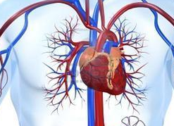 小兒先心病的早期癥狀有